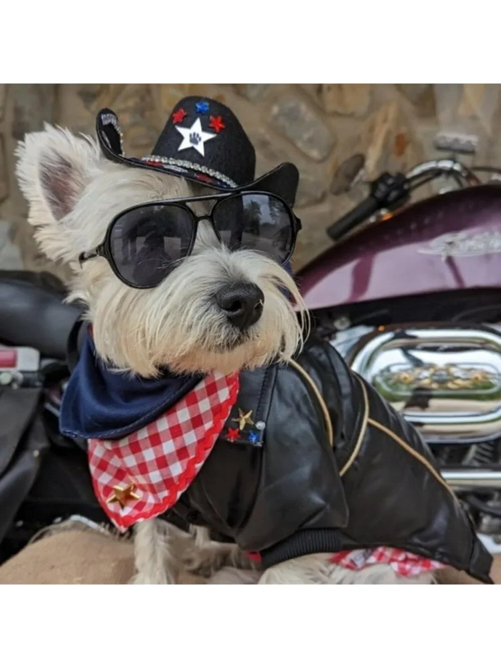 Stylish Waterproof Leather Dog Jacket - Cute Motorcycle Coat for Small & Medium